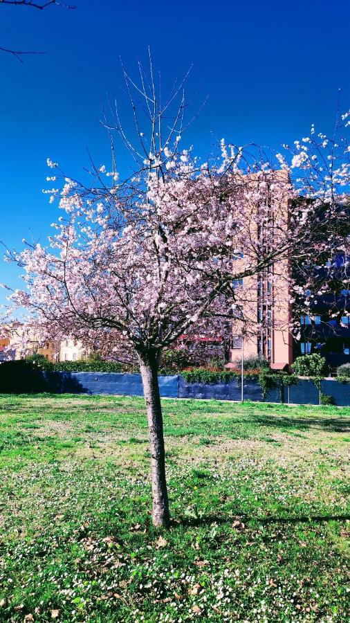 Bologna Vista Parco Apartment 2 Letti Matrimoniali ภายนอก รูปภาพ